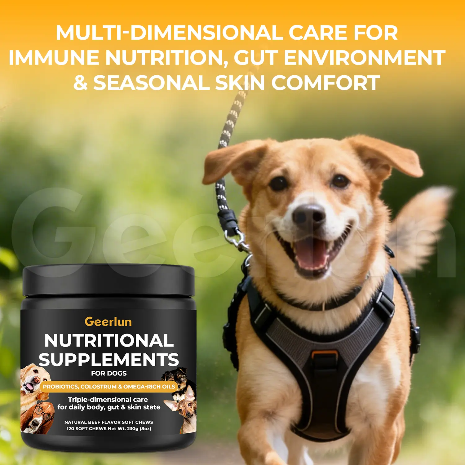 Wholesale Probiotic Colostrum Dog Soft Chews