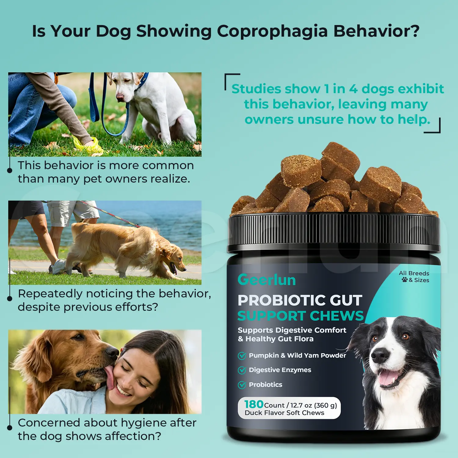 Custom Brand Dogs Probiotic Supplements
