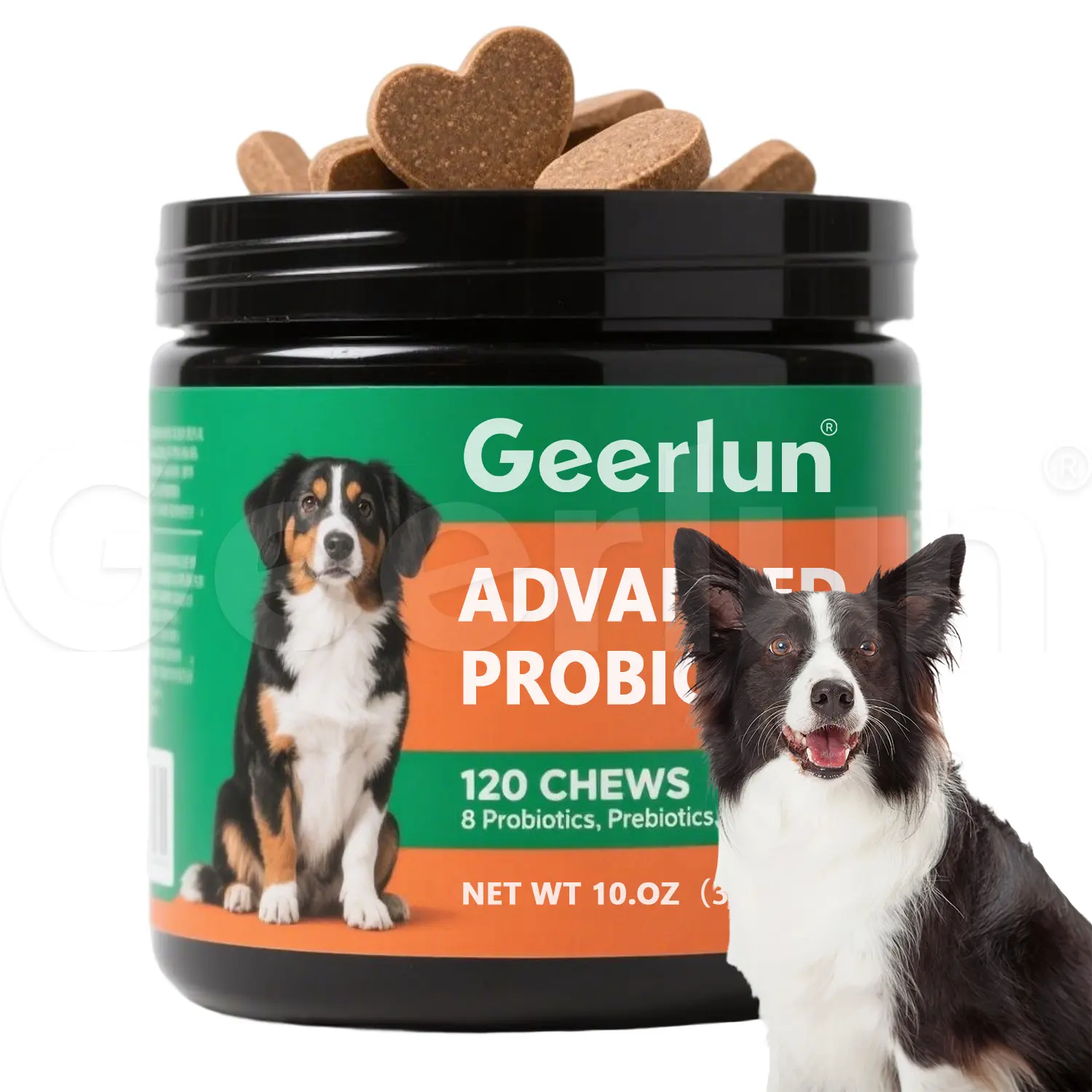 OEM Probiotic Soft Chews for Dog