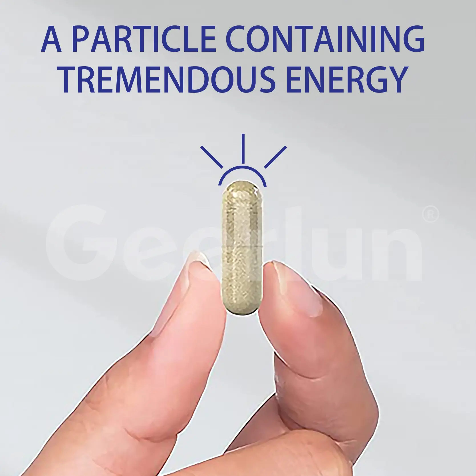 OEM Maca Root Capsules.png