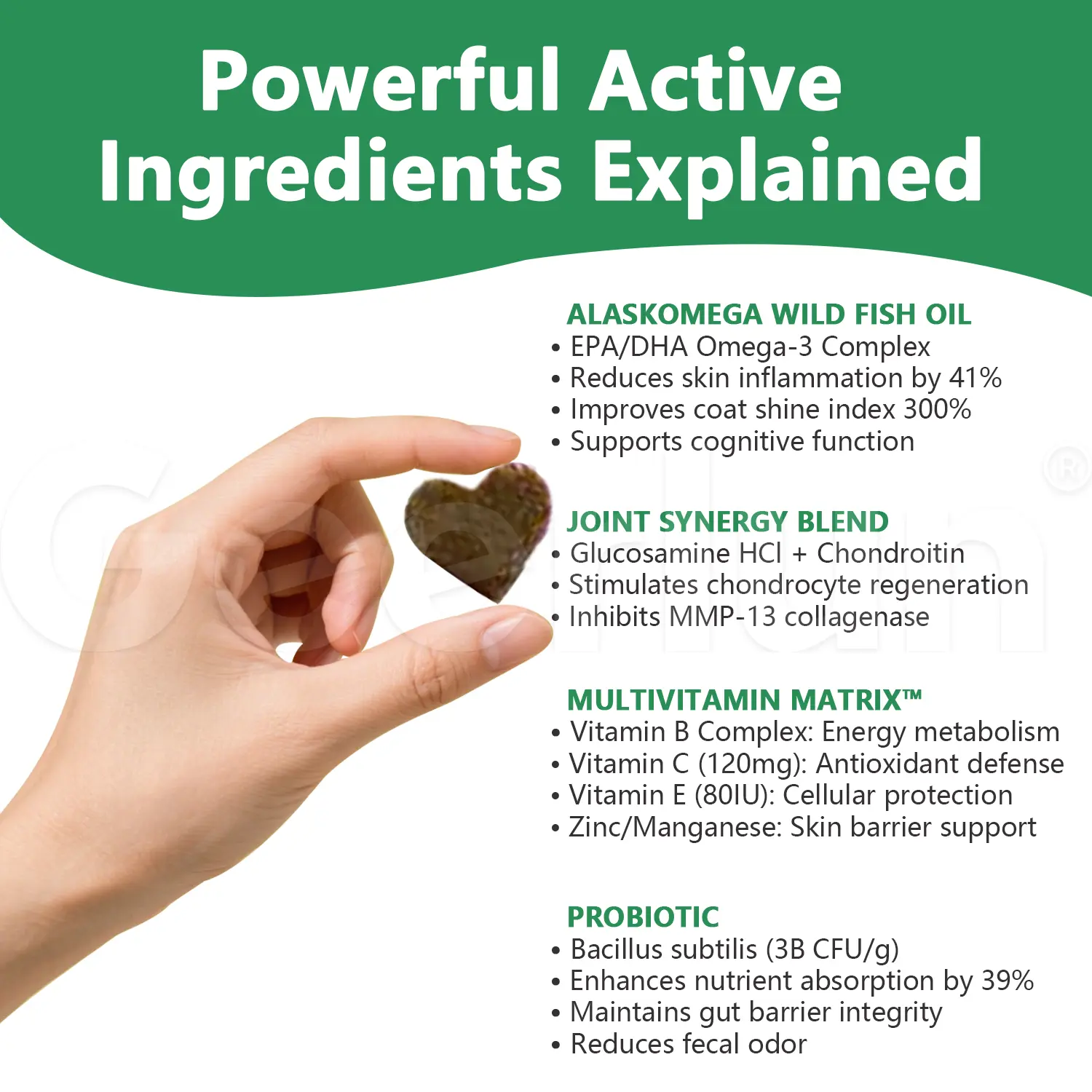 OEM Joint Skin Support Chews for Dog