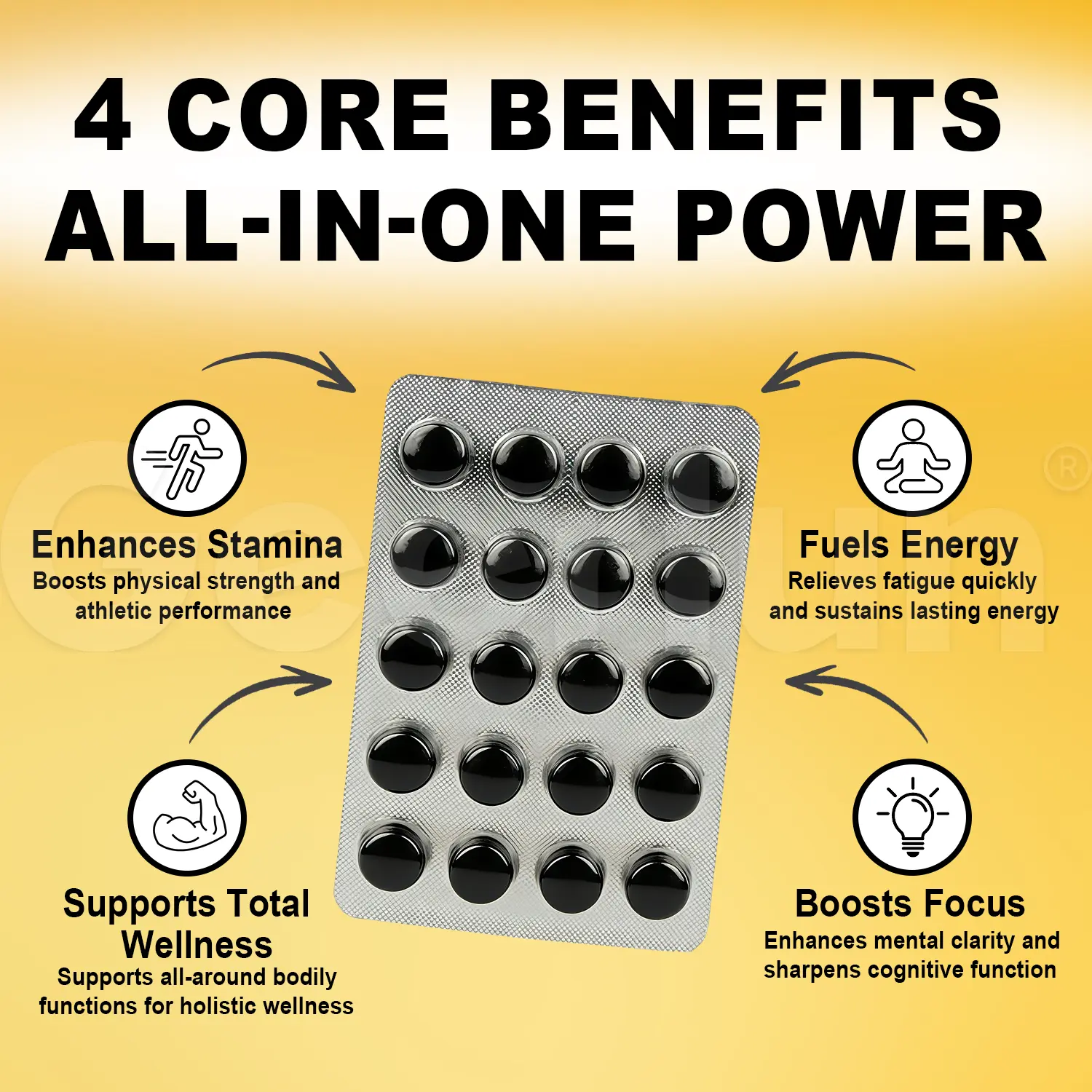 Factory Direct Shilajit Pills.png