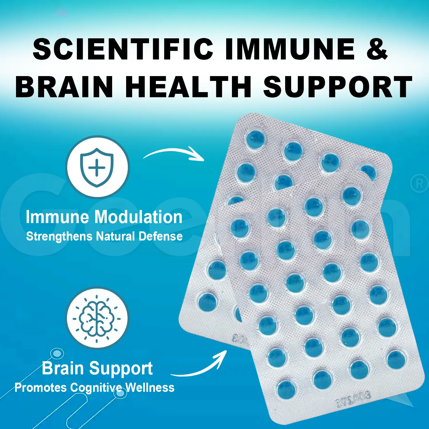 Private Label Dimethylglycine 500mg Pills.png