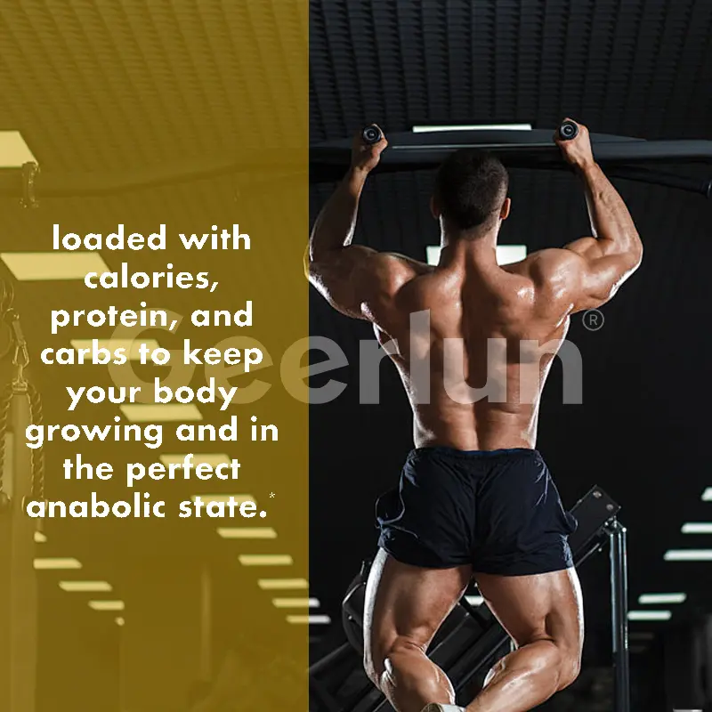 Ready Stock Ginseng Pills Capsules (2).jpg