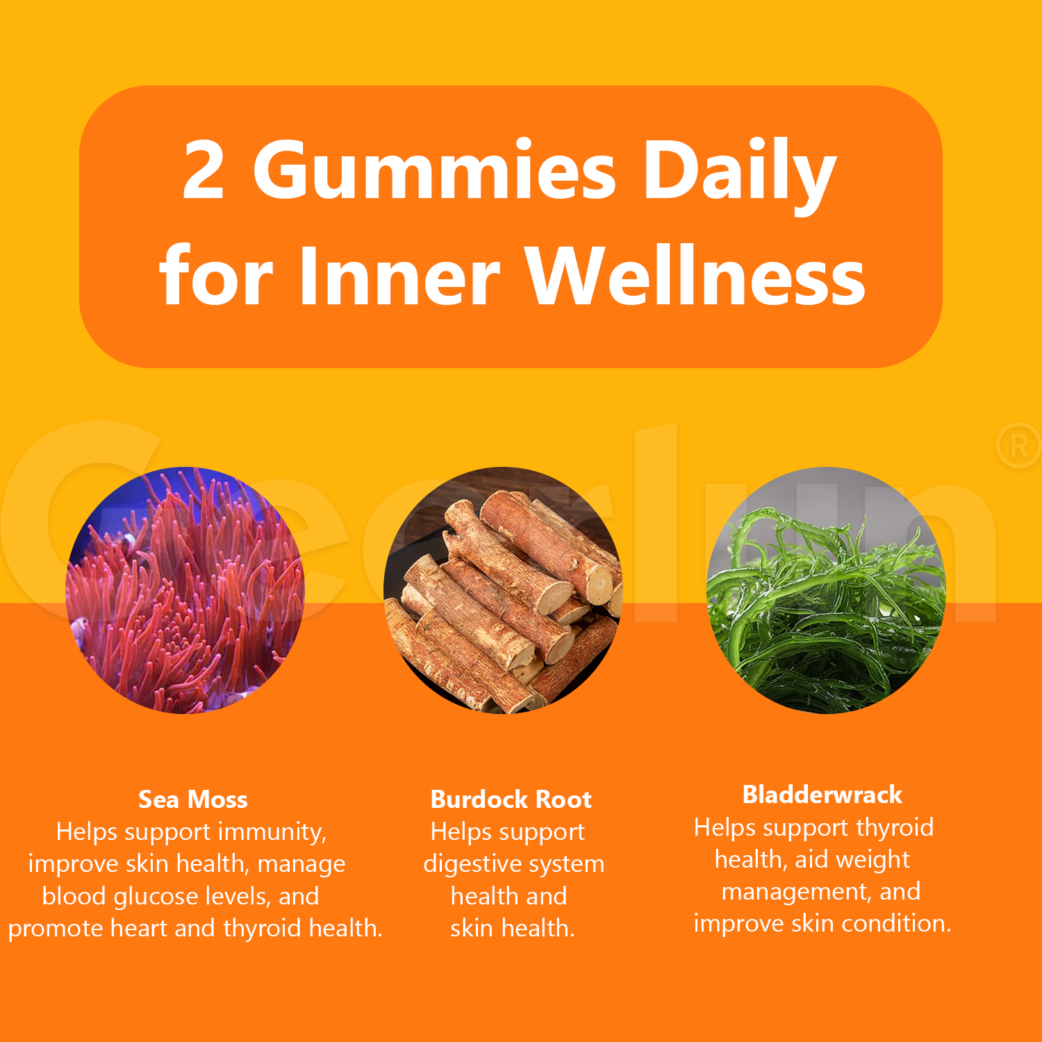 Custom Detox Gummies.png