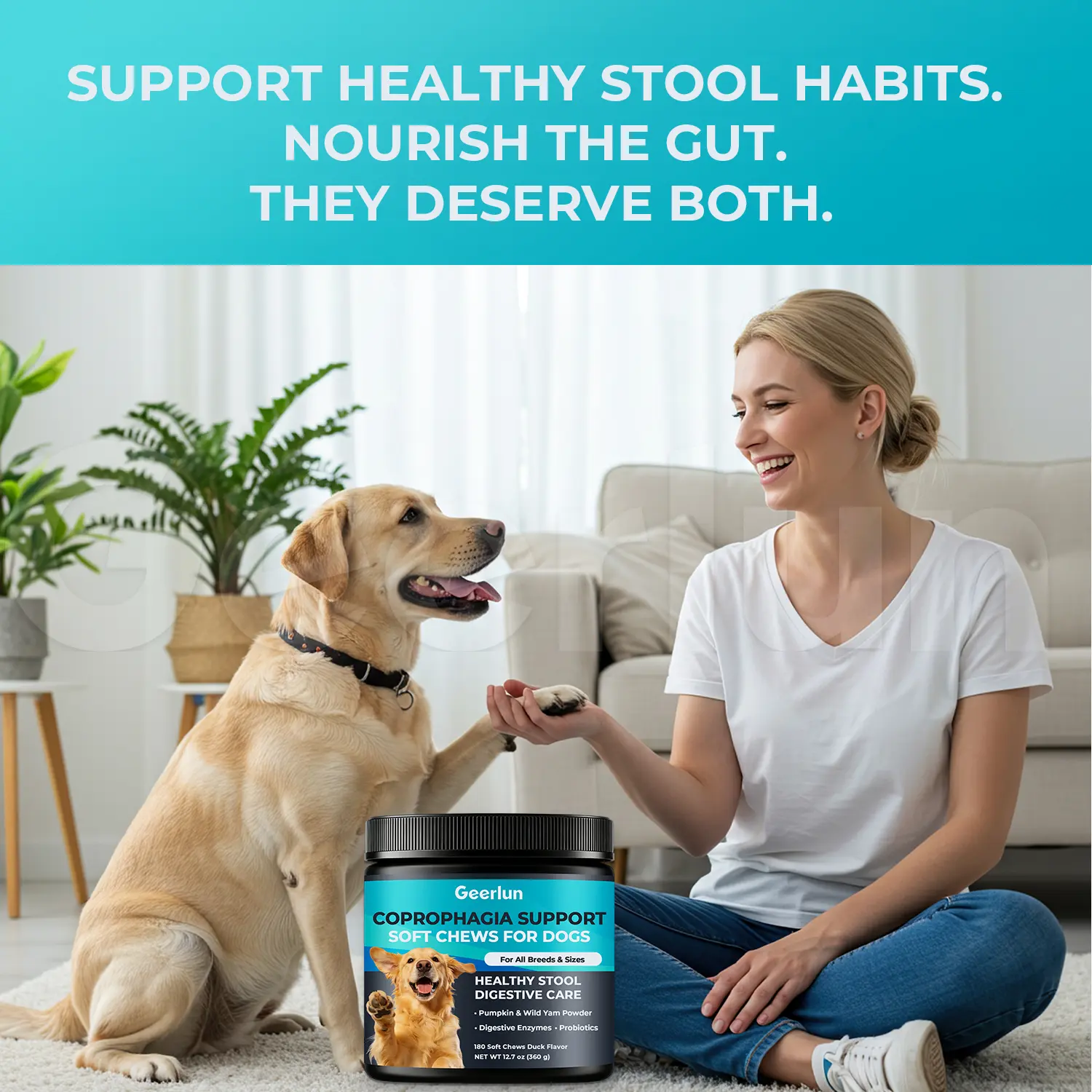 Wholesale Healthy Stool Dog Supplements
