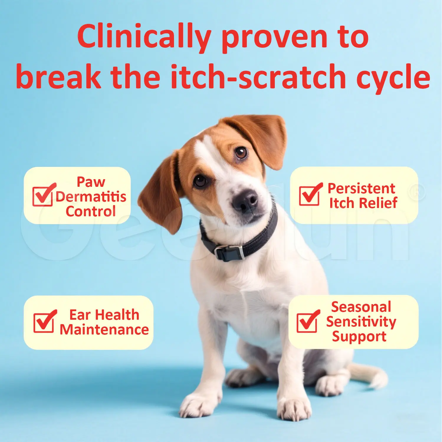 OEM Pet Allergy Probiotic Soft Chews