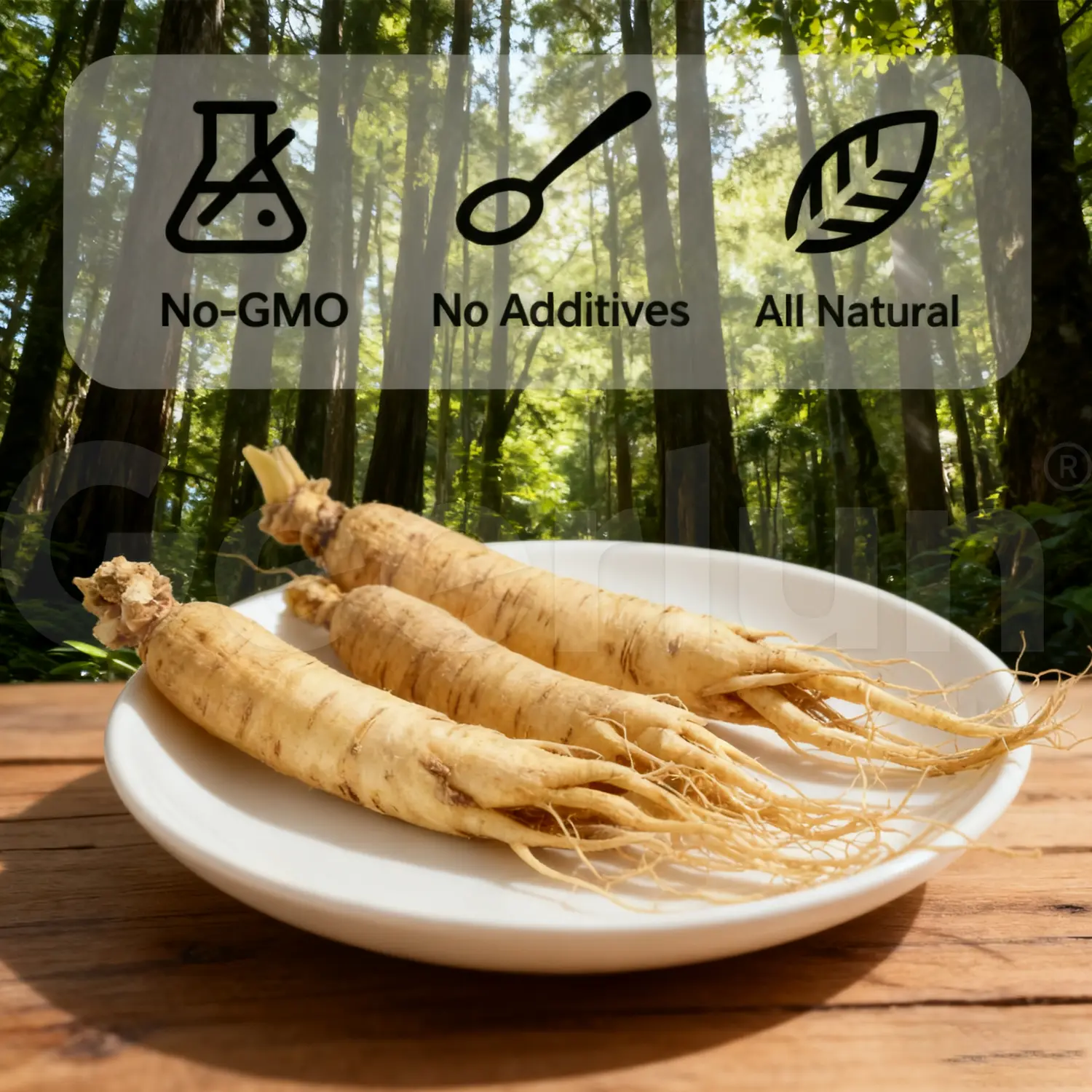 Ginseng Pils Capsules.png