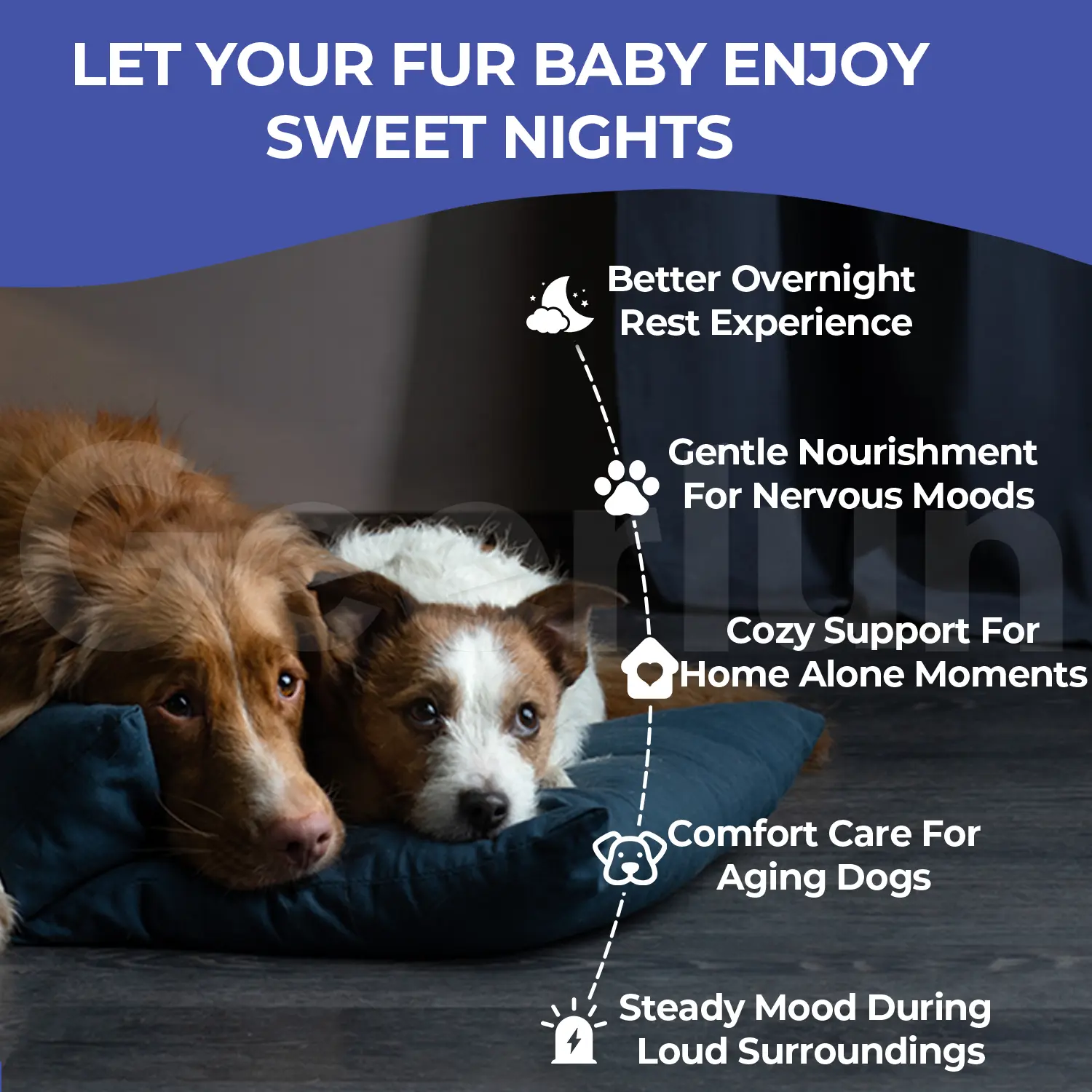 Custom Dog Calming Supplement