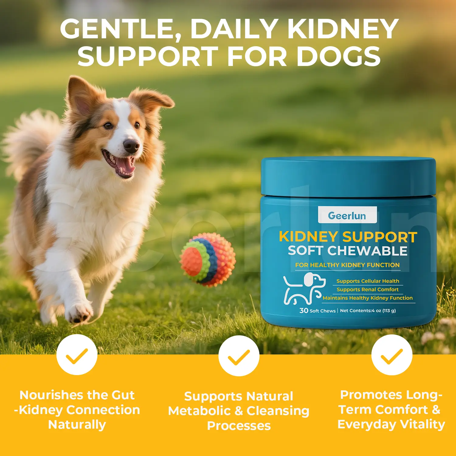 Custom Dog Kidney Function Soft Chews