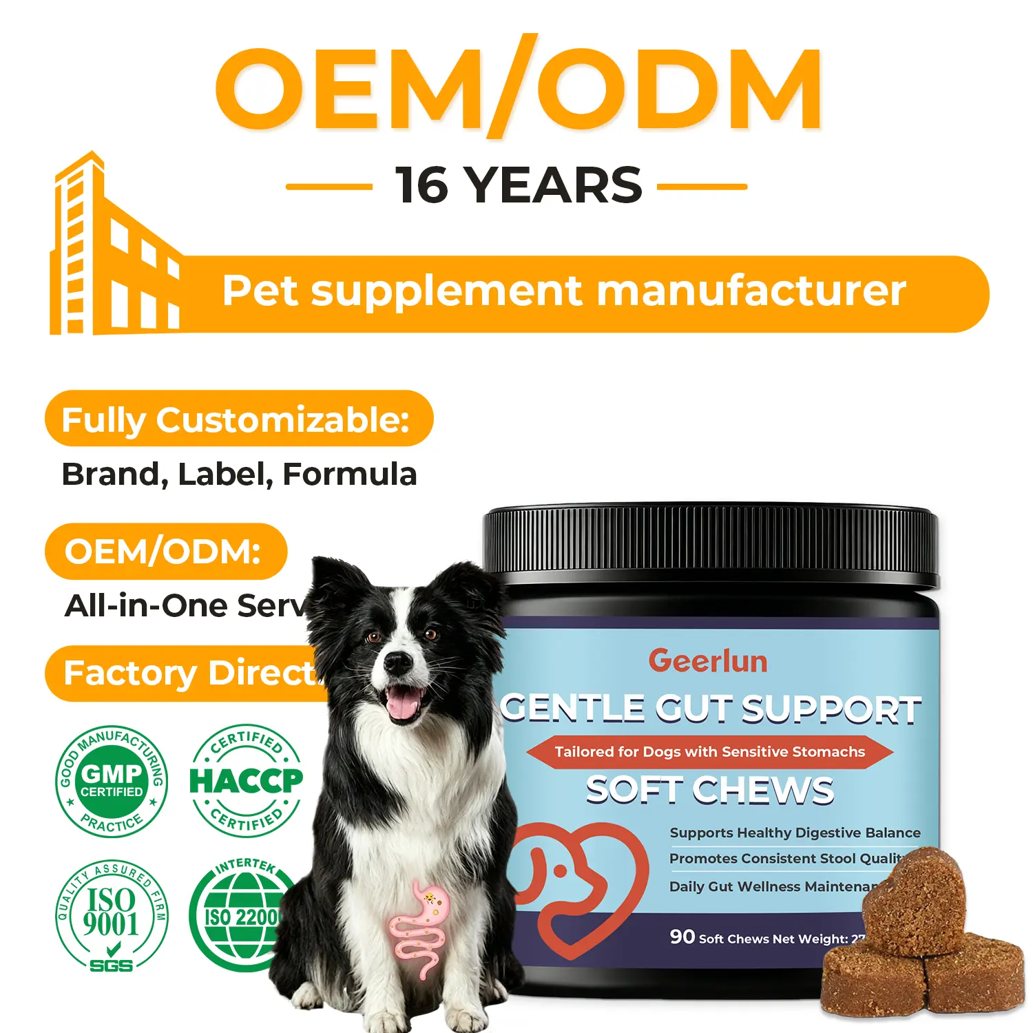 OEM Gut Support Dog Chews