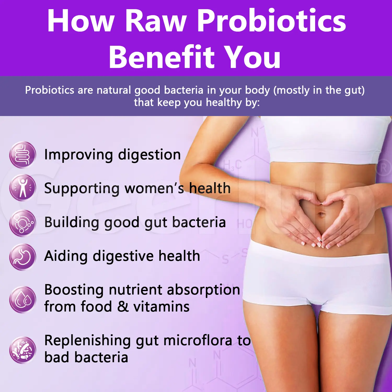 Factory Supply Digestive Supplement.png