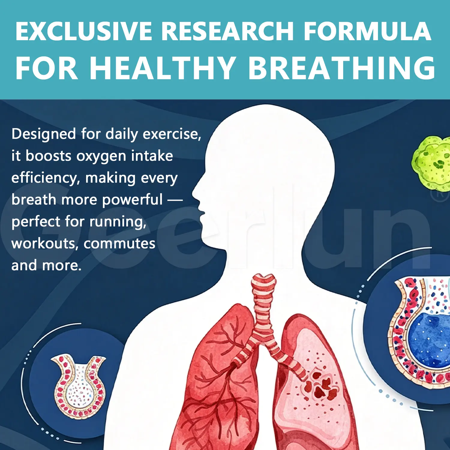 Wholesale Natural Lung Defense Liquid