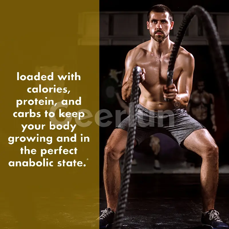 Factory Price Herbal Protein Powder.jpg