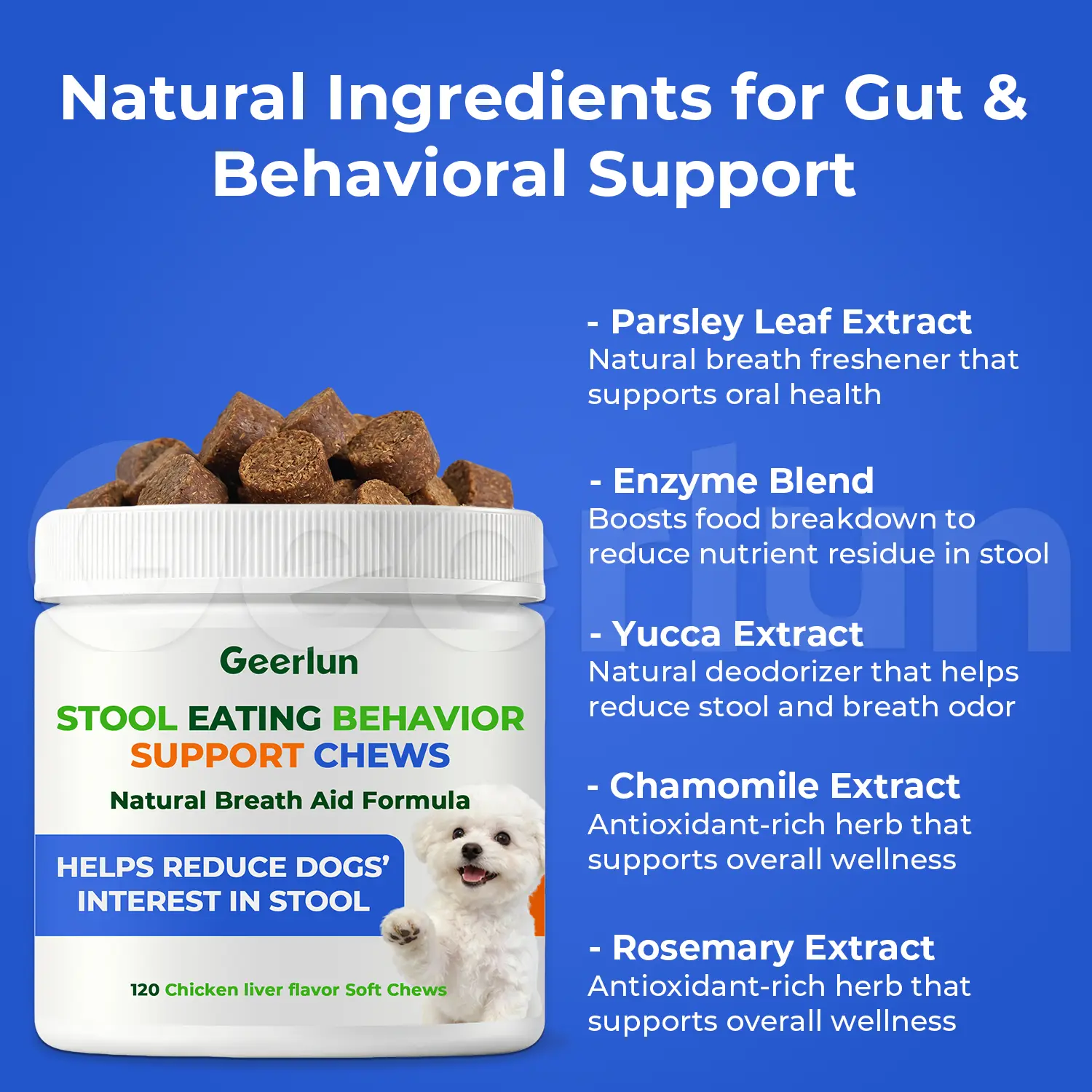 Custom Coprophagia Support Chews