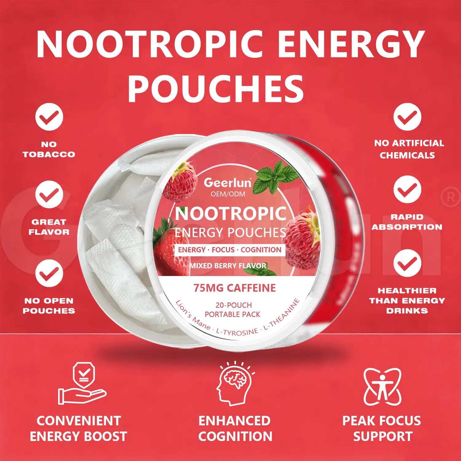 OEM Energy & Focus Pouches.png