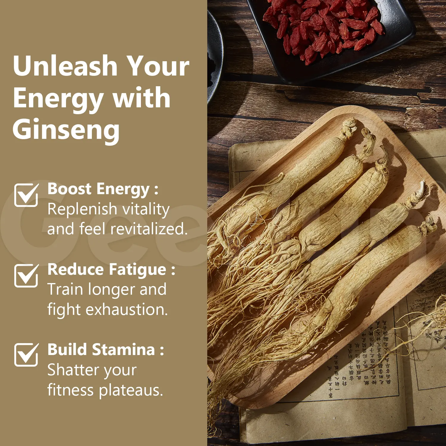 Wholesale Pure Ginseng Supplement.png