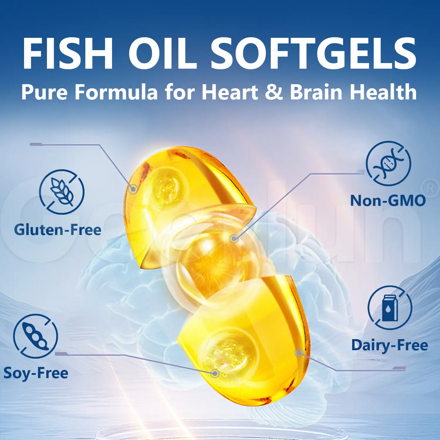 Wholesale Brain Supplement.png