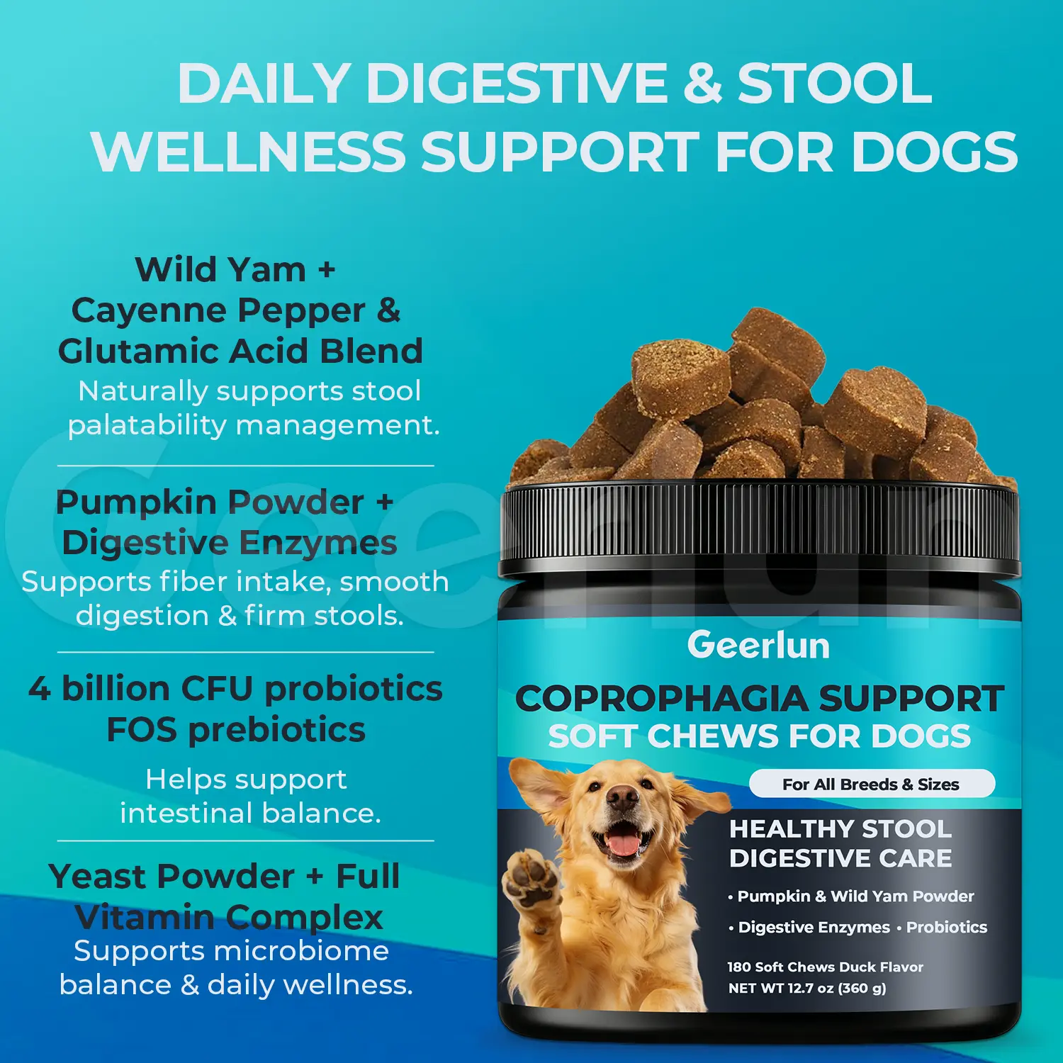 OEM All Breed Digest Care Chews