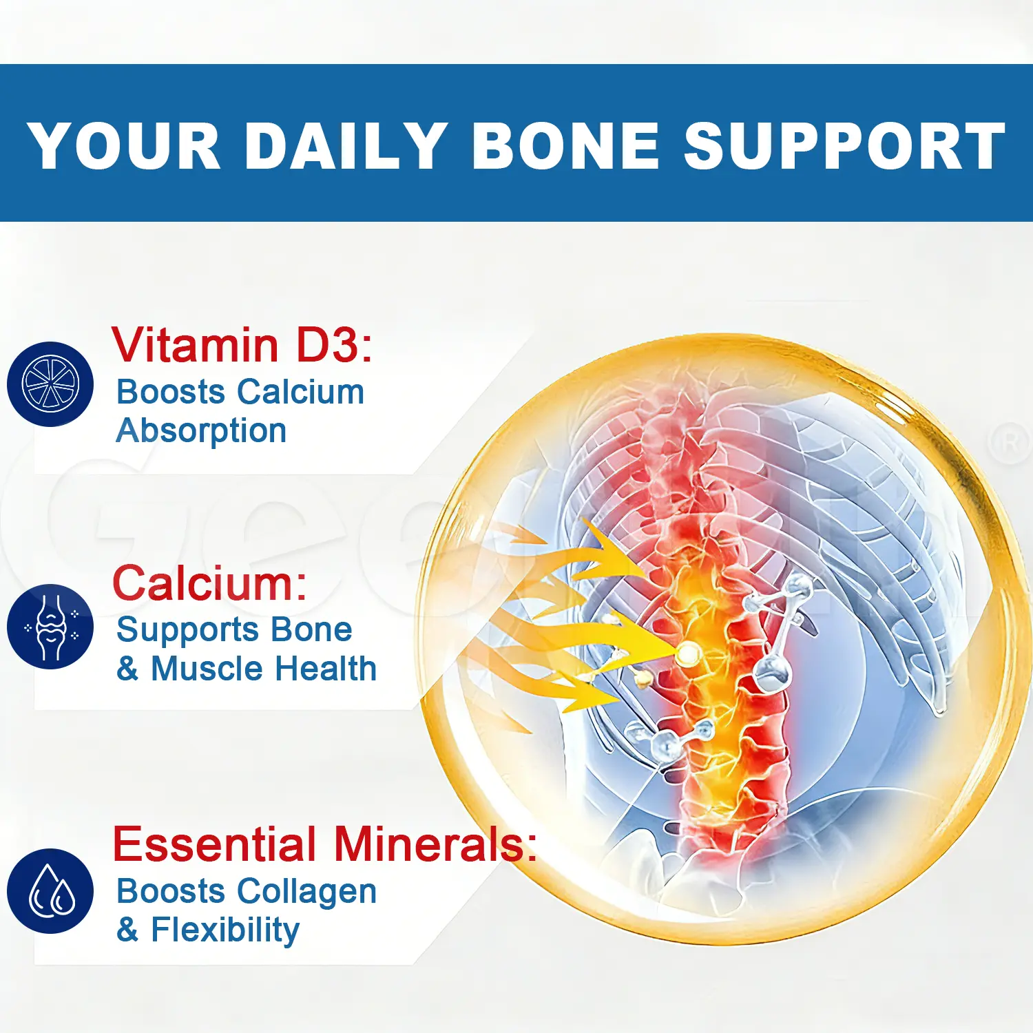 Factory Bone Density Pills.png