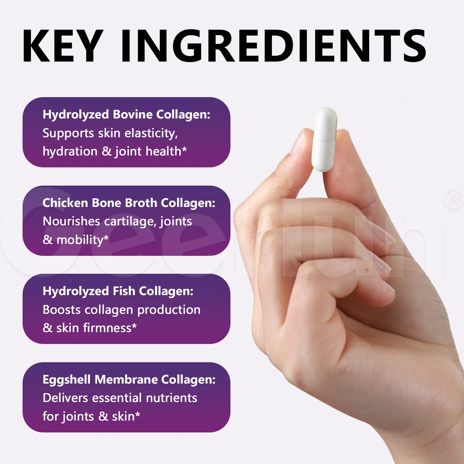 4 Source Multi Collagen Blend.png
