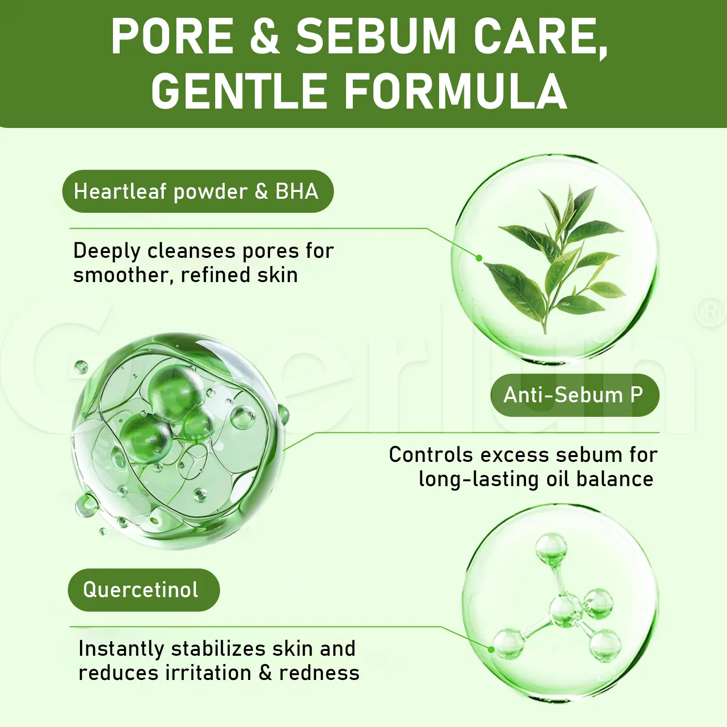 Private Label Heartleaf Foam Cleanser.png