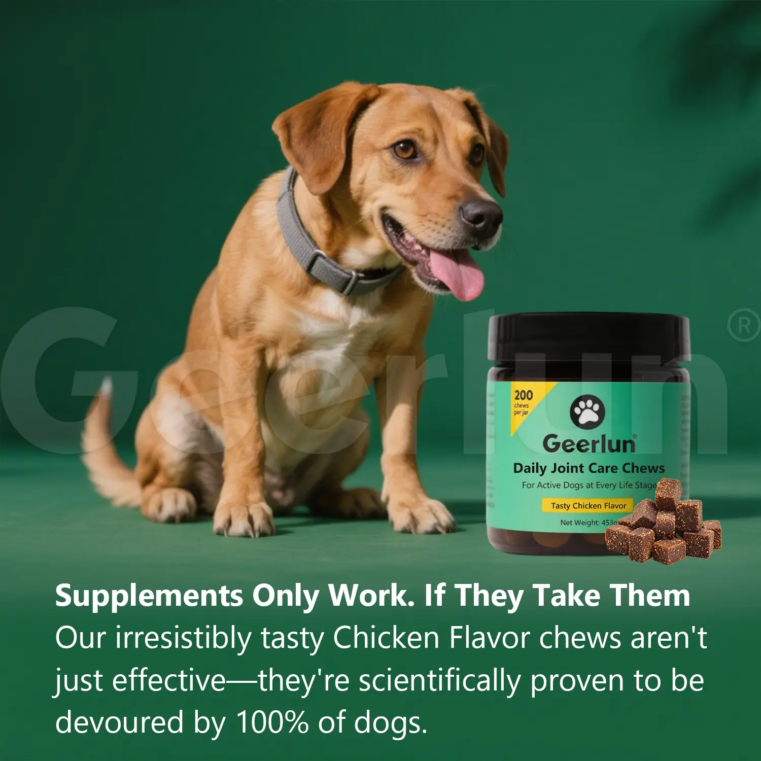 Wholesale Dog Hip Joint Care Treats