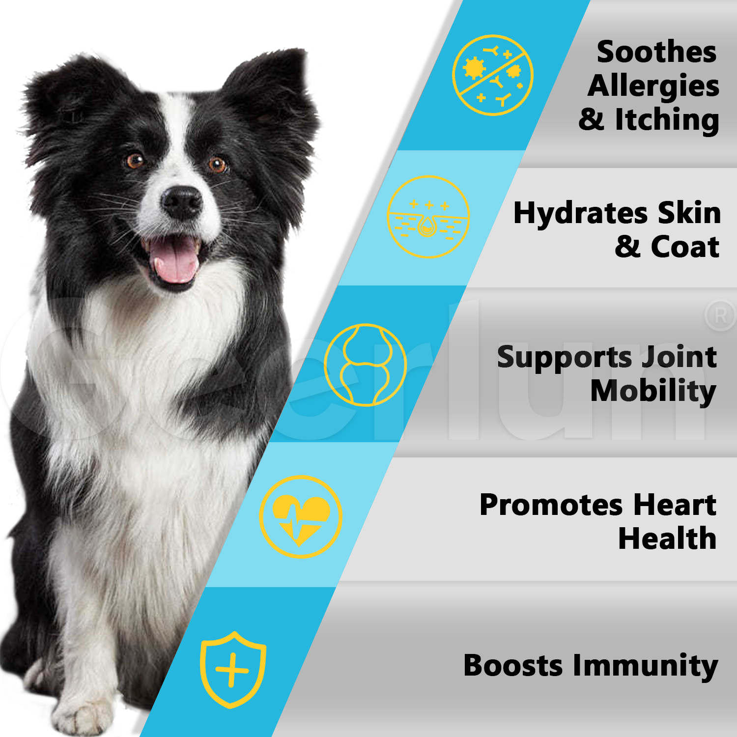 Custom Shiny Coat Soft Chews for Dog