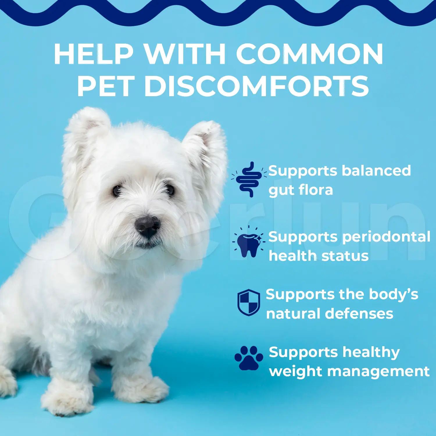 Custom Probiotic Soft Chews for Dog