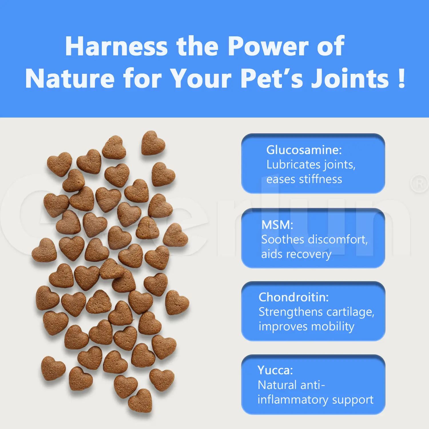 Custom MSM Omega Dog Joint Treats