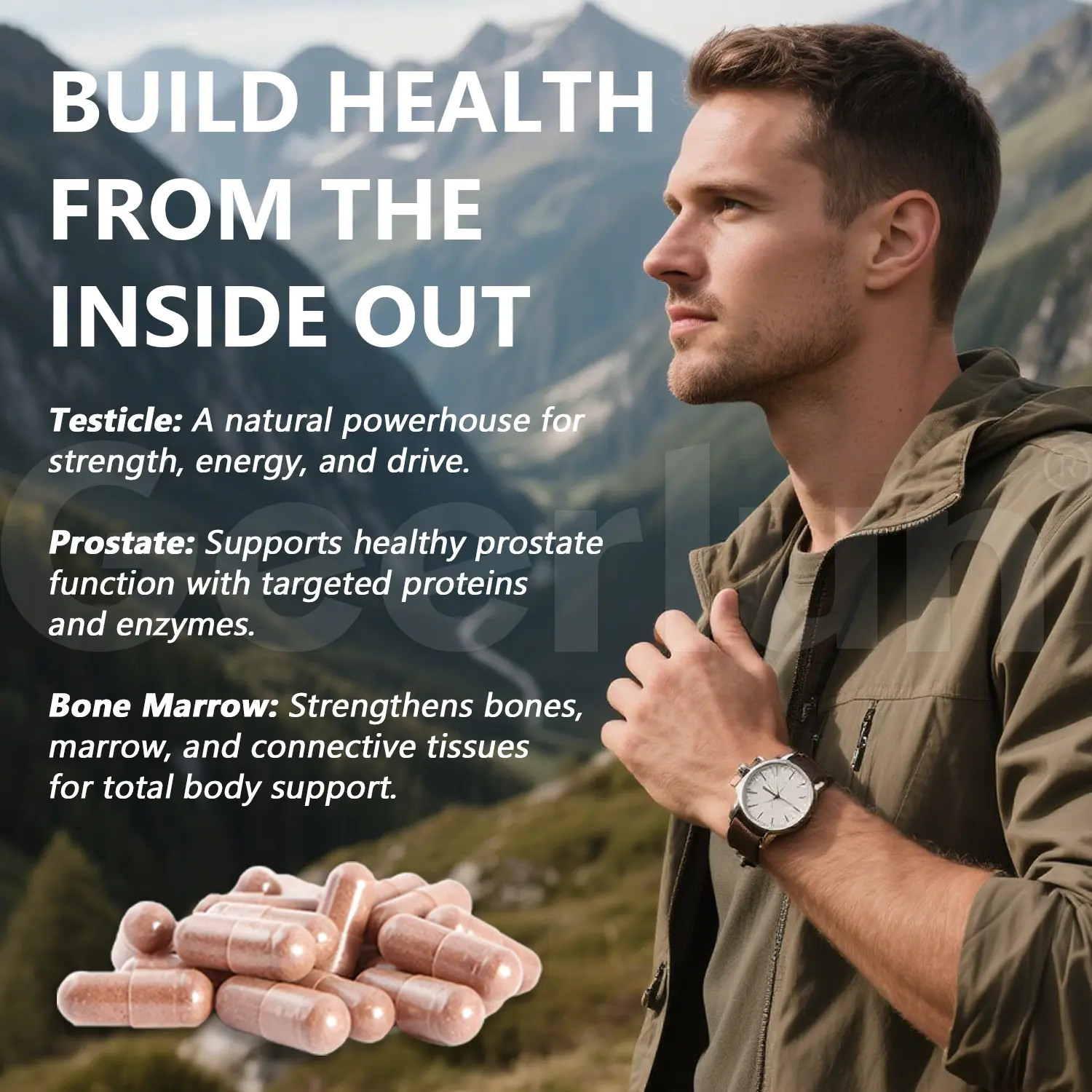 Wholesale Prostate Support Capsules.png