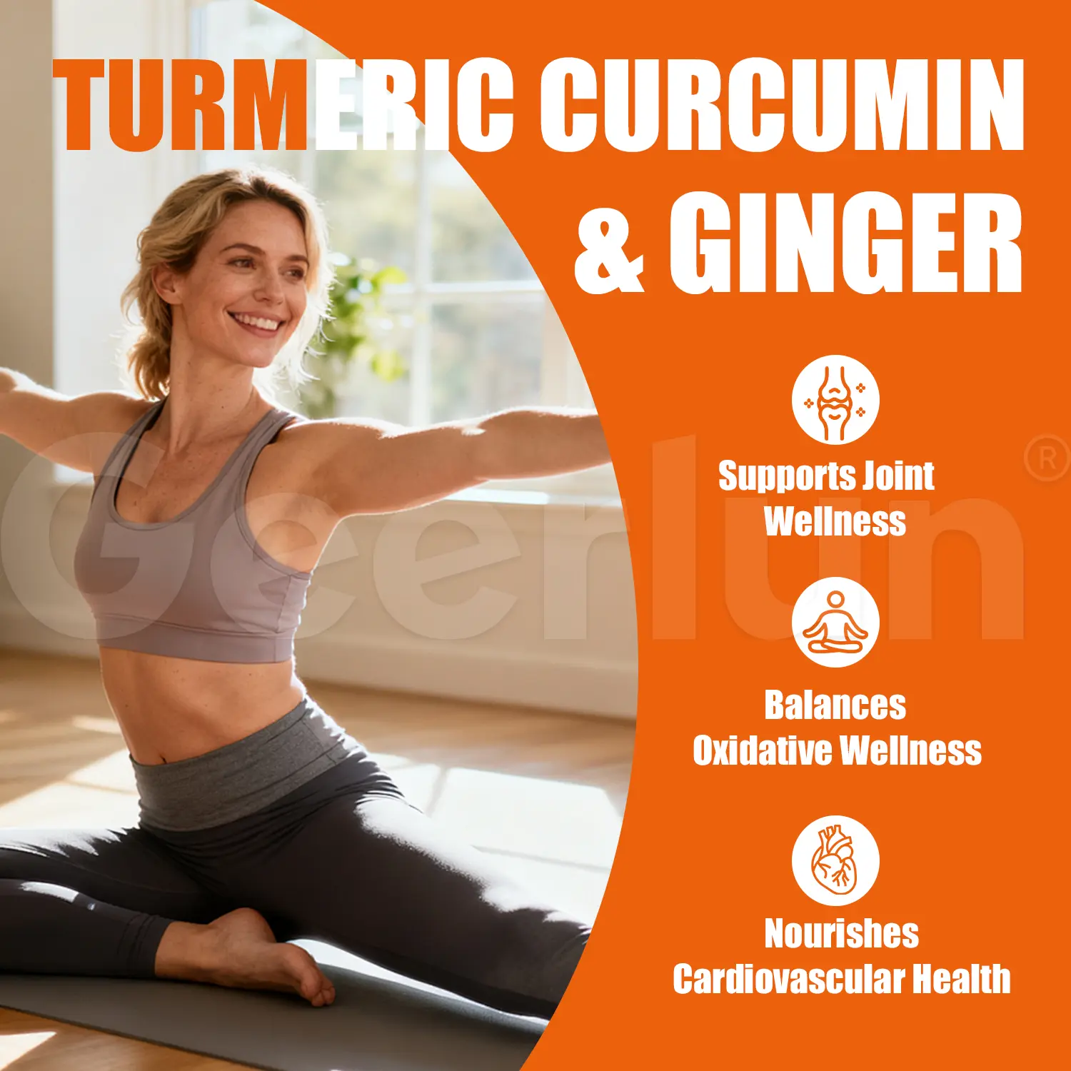 Wholesale Ginger Curcumin Supplement