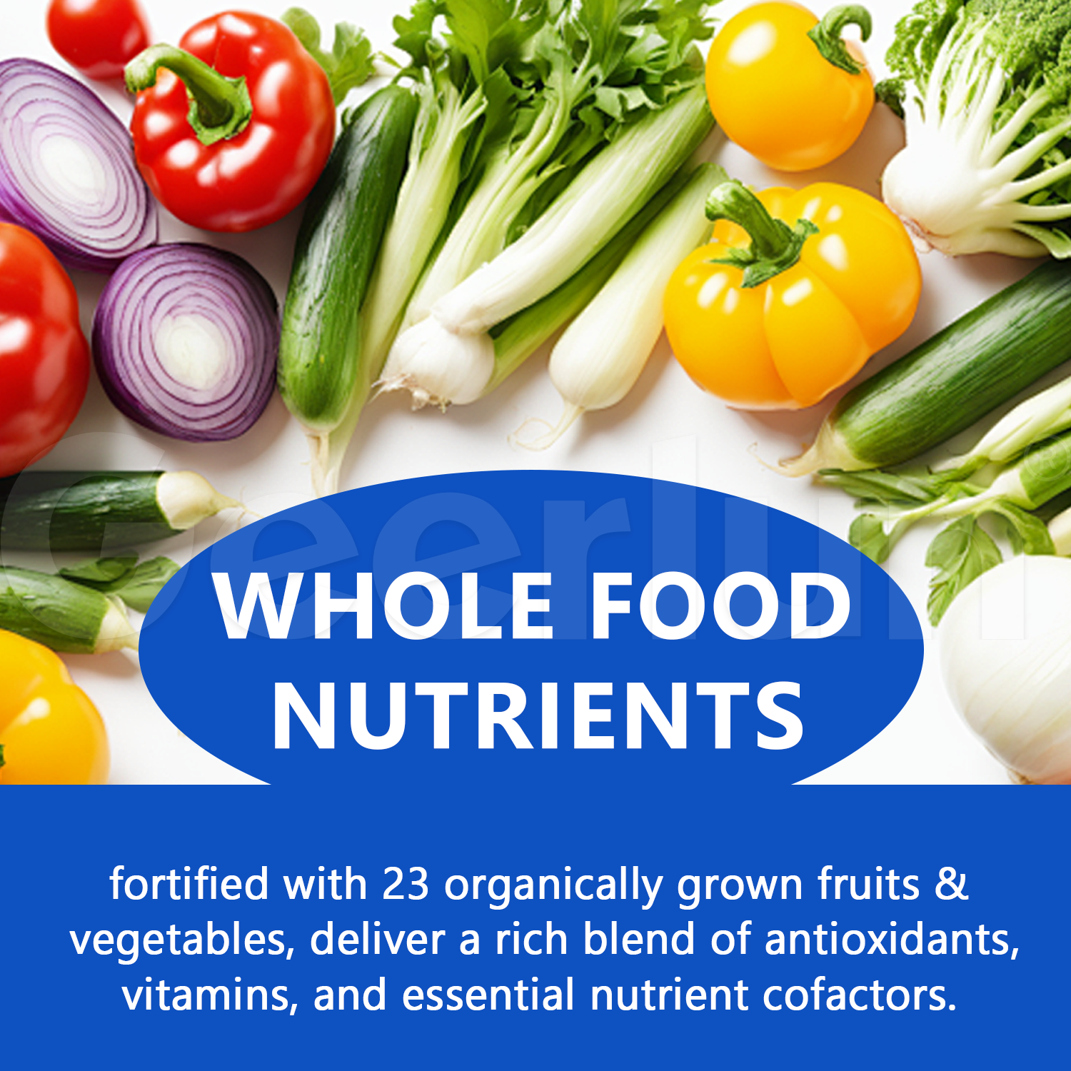 OEM Vitamin B Complex Capsules.png